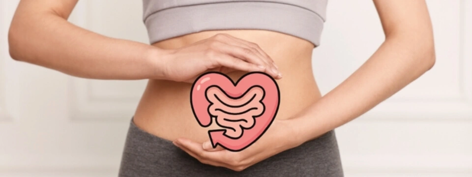Junge Frau hält eine Illustration von Darm und Herz vor ihren Bauch – Sinnbild für den Zusammenhang zwischen Darmgesundheit und Gesamtwohlbefinden